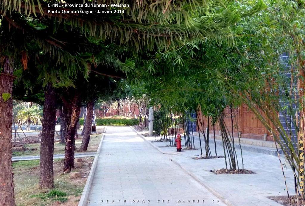 030- Weishan.JPG